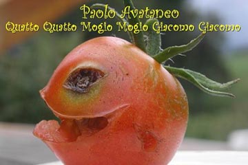 giocoleria, juggling, show, quatto quatto, mogio mogio, giacomo giacomo giocoleria-juggling-show